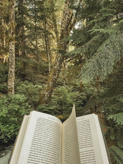 Nature, Nature And Books Aesthetic, Cottagecore Reading Aesthetic, Be Creative Aesthetic, Reading Aesthetic Outside, Reading In Nature Aesthetic, Read Outside, Reading Books In Nature, Calming Nature Aesthetic