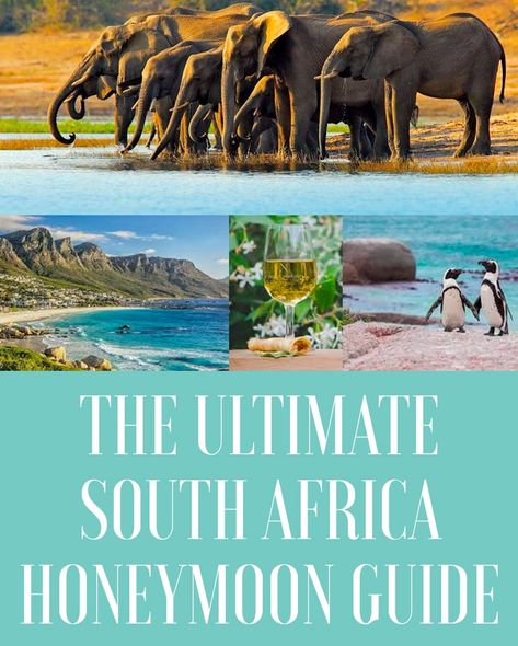 Best Budget Honeymoon Destinations, Seychelles Honeymoon, Luxury Honeymoon Destinations, Africa Hunting, South Africa Honeymoon, Lodges South Africa, South Africa Vacation, Africa Honeymoon, Top Honeymoon Destinations