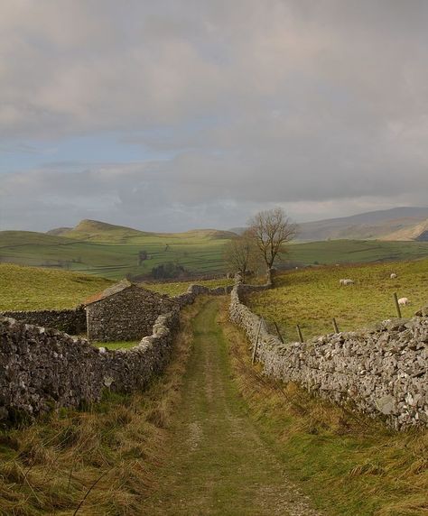 Yorkshire Dales Skai Jackson, British Countryside Wallpaper, Yorkshire Dales National Park, England Countryside, The Ancient Magus Bride, Belle Nature, British Countryside, Yorkshire Dales, Dirt Road