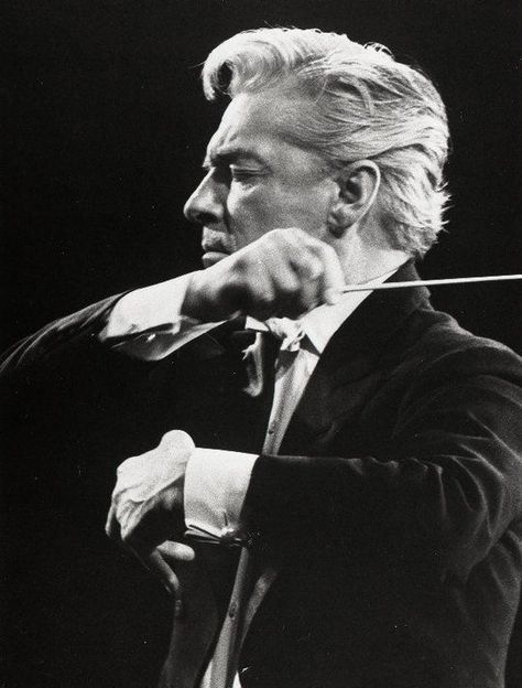 Berlin Philharmonic, Winter Romantic, Herbert Von Karajan, Orchestra Conductor, Classical Music Composers, Leonard Bernstein, Classical Musicians, Amadeus Mozart, Music Images