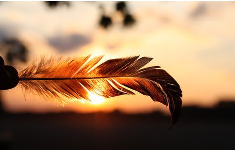 feather, sun, and sunset image Tumblr, Christian Dating Advice, Facebook Cover Photos Quotes, Facebook Cover Quotes, Husband And Wife Love, Facebook Cover Images, Cover Quotes, Fb Cover Photos, Christian Dating