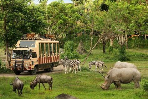 Bali Safari & Marine Park, Gianyar: See 2,761 reviews, articles, and 2,031 photos of Bali Safari & Marine Park, ranked No.4 on TripAdvisor among 62 attractions in Gianyar. Bali In December, Taman Bali, Bali With Kids, Jungle Resort, Voyage Bali, Bali Honeymoon, Bali Holidays, Legian, Bali Island