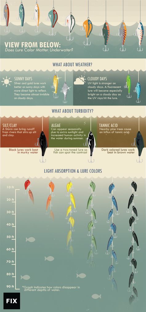 So you're thinking about going fishing. This might help. - Album on Imgur Tattoo Fishing, Pesca In Mare, Saltwater Fishing Lures, Diy Fishing, Fishing 101, Bass Fishing Tips, Fishing Rigs, Walleye Fishing, Fishing Techniques