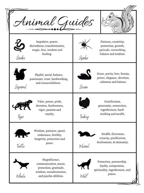 Spirit Animal List, Spiritual Animals, Animal Totem Spirit Guides, Spirit Animal Meaning, Witch Symbols, Witch Hunter, Animal Meanings, Animal Communication, Zodiac Signs Chart