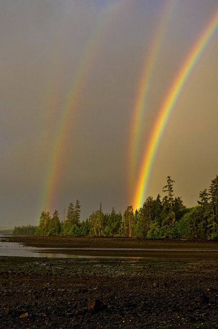 not even sure this is possible! Mirrored double rainbow in Naden Harbour, Haida Gwaii, British Columbia Canada. Haida Gwaii, Matka Natura, God's Promise, Belle Nature, Alam Semula Jadi, Natural Phenomena, Beautiful Rainbow, Beautiful Sky, Pics Art