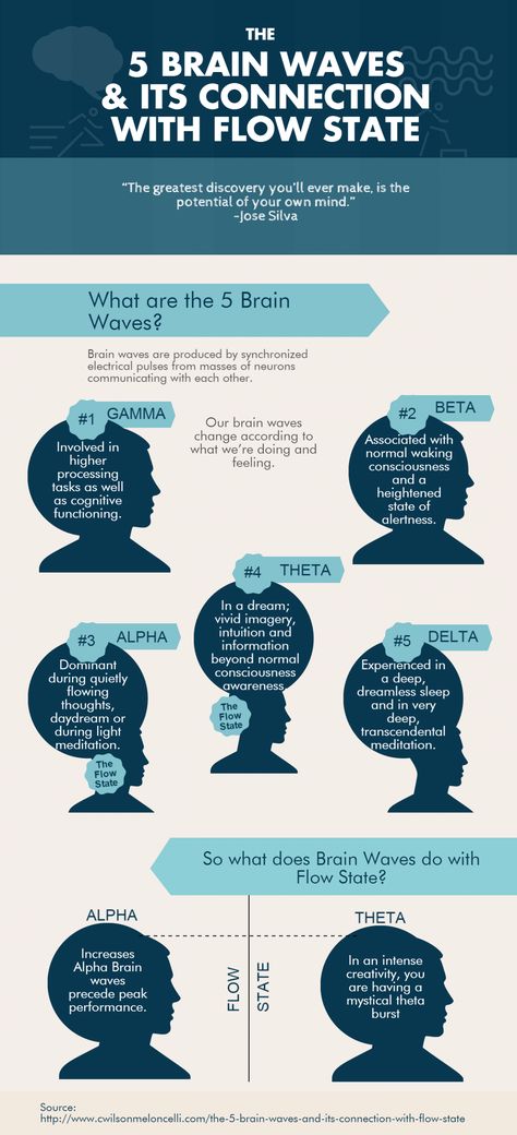 The 5 Brain waves and its Connection with Flow State Infographic Hypnotherapy, Gamma Waves, Delta Waves, Alpha Waves, Brain Facts, Brain Anatomy, Flow State, Brain Science, Mental Training