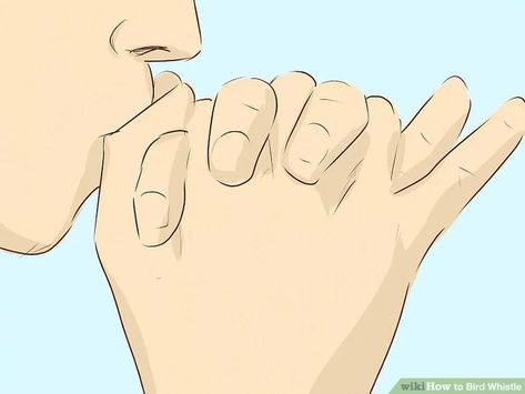 3 Ways to Bird Whistle - wikiHow Whistle With Fingers, Bird Whistle, How To Whistle Loud, Cool Magic Tricks, Easy Magic Tricks, Emergency Prepardness, Bird Calls, Easy Cartoon Drawings, Best Anime Drawings