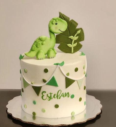 Dinosaur Cakes For Boys, Creative Cake Ideas, Dino Birthday Cake, Cake Designs For Boy, Dinosaur Birthday Theme, Boys First Birthday Cake, Pastel Baby Shower, 13 Birthday Cake, Dino Cake