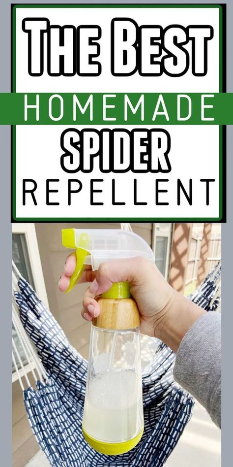 Add this DIY gardening tip to your list this spring and summer. Our DIY Homemade spider repellent spray not only works fast and safe to use, but it is very easy to make. The natural spider repellent diy essential oils will make it very effective at repelling all types of spiders. This will be your favorite homemade bug spray recipe! Get the details here today for your backyard, indoor, outdoor, garage, or anywhere spiders pop up. Spider Repellent Diy Essential Oils, Spider Spray Diy, Homemade Spider Spray, Spiders Repellent Diy, Diy Bug Repellent Spray, Homemade Bug Spray Recipe, Balcony Garden Decor Ideas, Essential Oil For Spiders, Natural Spider Repellant