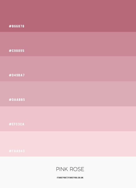 Pink Rose Colour Scheme | Shades of pink colour palette | Pink Combos White And Pink Color Scheme, Pink Shade Color Palette, Pink Colours Shades, Pantone Colors Pink Shades, Pink Shades Palette, Rose Colour Aesthetic, Shades Of Pink Hex Codes, White And Pink Palette, Pink Color Combination For Bedroom