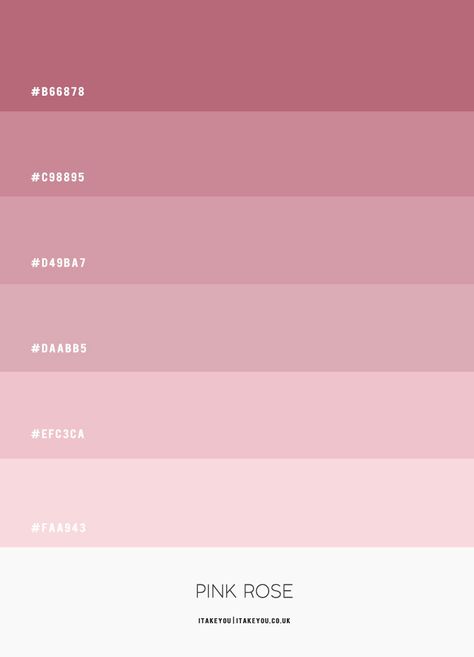 Pink Rose Colour Scheme | Shades of pink colour palette | Pink Combos Pantone Colors Pink Shades, Pink Shade Color Palette, Pink Colours Shades, Pink Shades Palette, Pink Color Combination For Bedroom, Pink Wedding Scheme Colour Palettes, Pink Colour Palette Hex Codes, White And Pink Palette, Shades Of Pink For Bedroom