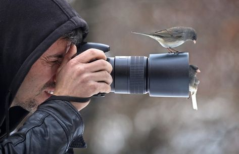 Thread Of Animals Interrupting Wildlife Photographers Is The Ultimate Timeline Cleanser Best Dslr, The Light Is Coming, Popular Photography, Bird Watchers, Bird Watcher, Camera Hacks, Camera Case, Photo Editing Software, Best Camera