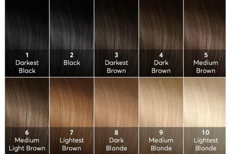 High lift hair dyes should be used only if your natural color is on the bottom half of this chart. Hair Color Scale, Hair Level Chart, Levels Of Hair Color, High Lift Hair Color, Hair Color Names, Madison Reed Hair Color, Easy Hair Color, Hair Levels, Hair Color Guide