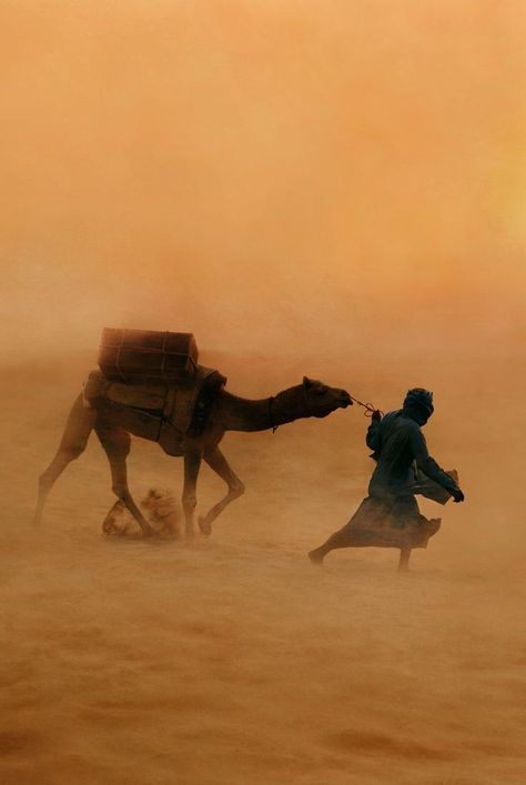Timur Tengah, الفن الرقمي, Desert Dunes, Steve Mccurry, Afrikaanse Kunst, Desert Life, Desert Sand, Arabian Nights, People Of The World