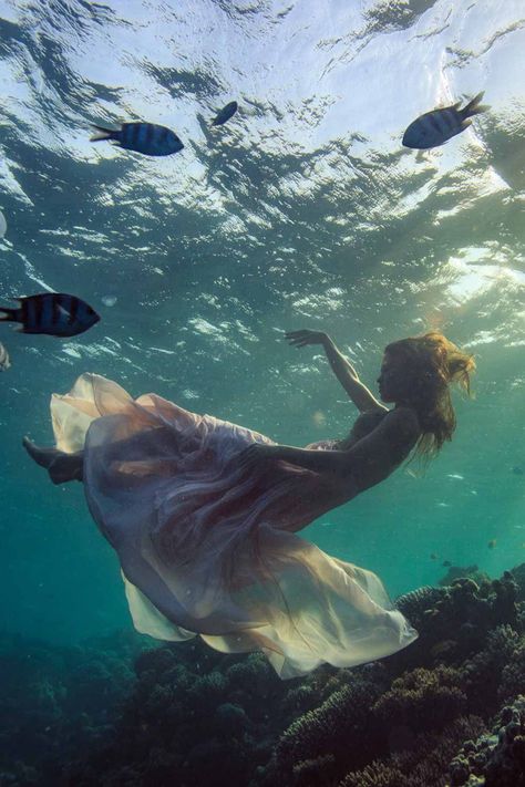 Women Underwater, Underwater Photography Mermaid, Woman Underwater, Underwater Drawing, Underwater Photoshoot, Sea Drawing, Mermaid Photography, Mermaid Top, Anime Woman