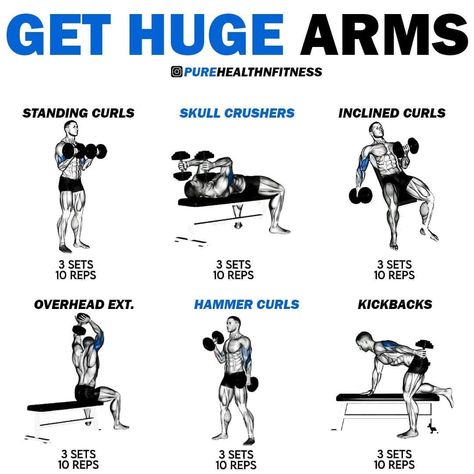 Arm Exercise Gym, Men’s Bicep Workout, Exercise For Bigger Arms, Bigger Arms Workout Men Dumbells, Men Arm Workout Gym, Arms Of Steel Workout, Complete Arm Workout, Insane Arm Workout, Big Arms Workout Men Dumbell