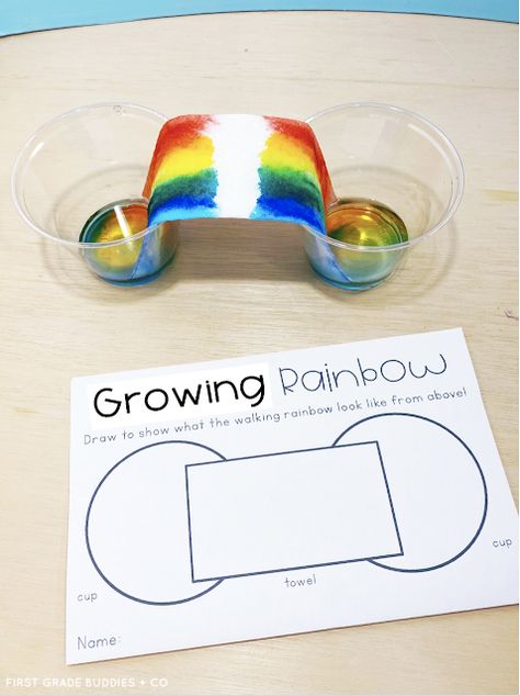 Spring Science Experiments, Vetenskapliga Experiment, Weather Activities Preschool, Rainbow Lessons, Spring Science, Preschool Weather, Rainbow Activities, Weather Science, Weather Theme