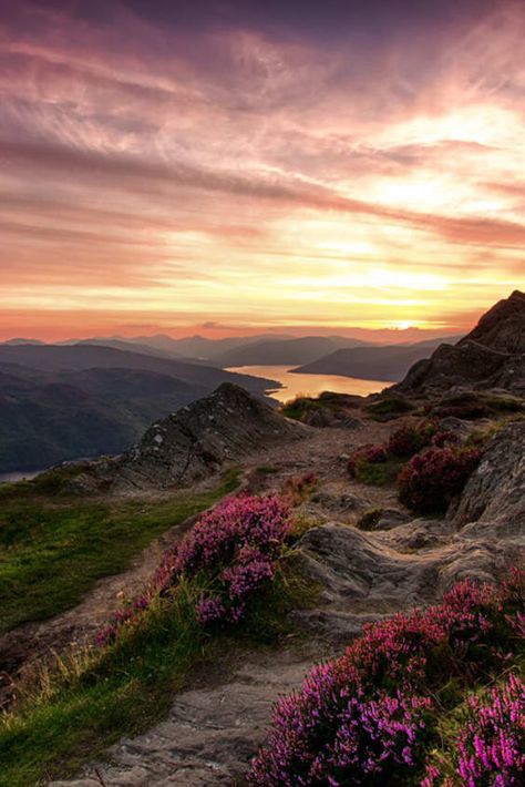 Scotland Nature Aesthetic, Scottish Folklore, Scotland Aesthetic, Scotland Nature, Highlands Scotland, Scotland Landscape, Scotland Forever, Scotland Highlands, Scottish Landscape