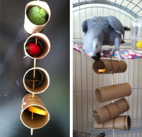 TP Roll Treat Kabob - petdiys.com Toys For Birds, Homemade Bird Toys, Diy Parrot Toys, Burung Beo, Birds Diy, Budgie Toys, Parakeet Toys, Diy Bird Toys, Bird Mom