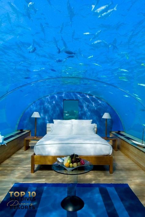 Conrad Maldives Rangali Island Underwater Bedroom Underwater Bedroom, Water Hotel, Underwater Hotel, Bawah Air, Underwater House, Hotel Swimming Pool, Bedroom Trends, Water Water, Beautiful Hotels