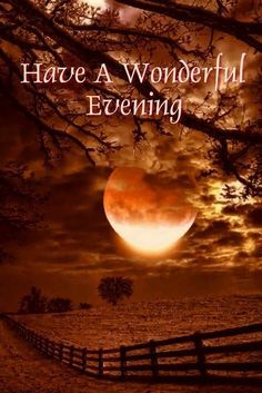 pictures of have a wonderful evening - Yahoo Image Search Results Good Evening Sms, Good Evening Wallpaper, Have A Wonderful Evening, Good Evening Love, Good Morning Rose Images, Evening Wishes, Libra Symbol, Goodnight Wishes, Good Evening Messages