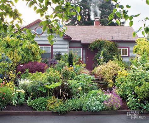 These shocking before and after photos of garden makeovers are almost too good to be true. Use these tips and tricks to landscape your yard and create your dream outdoor space. Portland Backyard, Front Yard Gardens, Ideas For Small Yards, Evergreen Landscape, Backyard Ideas For Small Yards, Small Yards, Front Gardens, Trees And Flowers, Small Front Yard Landscaping