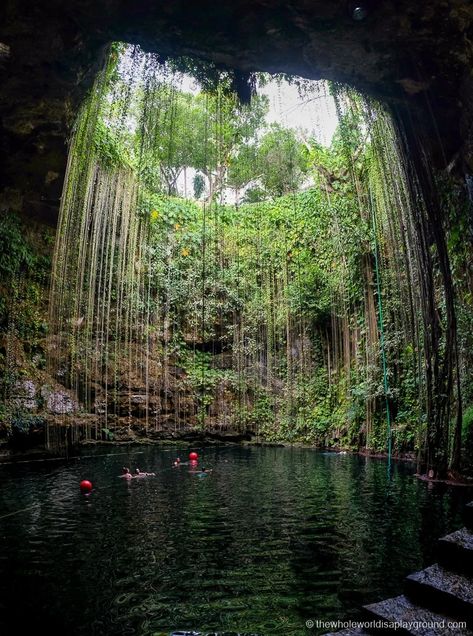 13 Best Cenotes near Playa Del Carmen (2021) | The Whole World Is A Playground Ruins, Playa Del Carmen, Cozumel, Cenotes Cancun, Have A Nice Trip, Caribbean Beaches, Mayan Ruins, Beautiful Places On Earth, Adventure Park