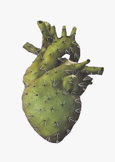 Collage Art, Ragnor Fell, Art Bizarre, Collage Kunst, Anatomy Art, Heart Art, Art Plastique, Green Aesthetic, Grafik Design