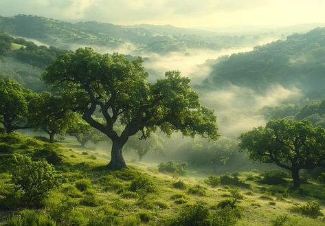 The image is a beautiful landscape of a valley with rolling hills. The hills are covered in green grass and trees ->> more details in ai-img-gen.com Rolling Hills Landscape, Gacha Background, Mystical Places, Large Tree, Sun Is Shining, Rolling Hills, Beautiful Landscape, The Hills, Green Grass