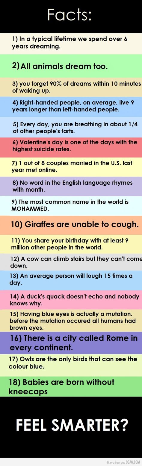 I am only skeptical BC if u feed me facts I'm obviously going to doubt the legitness if u misspell the word laugh in ur attempt to enlighten me.  HahhhaA bah cmon now The Meta Picture, E Card, The More You Know, Weird Facts, Things To Know, Mind Blown, Trivia, Random Stuff, Just In Case