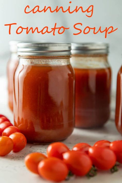 Canning Tomatoes Water Bath, Canning Tomato Soup, Canning Soup, Canning Tomatoes Recipes, Water Bath Canning Recipes, Fresh Tomato Soup, Soup Starter, Fresh Tomato Recipes, Tomato Soup Homemade