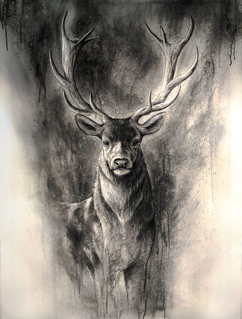 Charcoal drawing created by Daniel Wilson using #CharcoalPowder #VineCharcoal #Charcoal Pencils. For tips on how to use charcoals and various other techniques when painting or drawing wildlife head to www.studiowildlife.com or follow @dwilsonarts on instagram.   #Wildlife #Art #Artist #Wildlifeart #Wildlifeartist #Charcoaldrawing #Painting #Animalart #Animalartist Animals Charcoal Drawing, Charcole Drawings Charcoal Artists, Charcoal Deer Drawing, Charcoal Wildlife Art, Charcoal Animals Drawing, Graphite And Charcoal Drawings, Deer Charcoal Drawing, Charcoal Artwork Sketches, Charcoal Art Animals