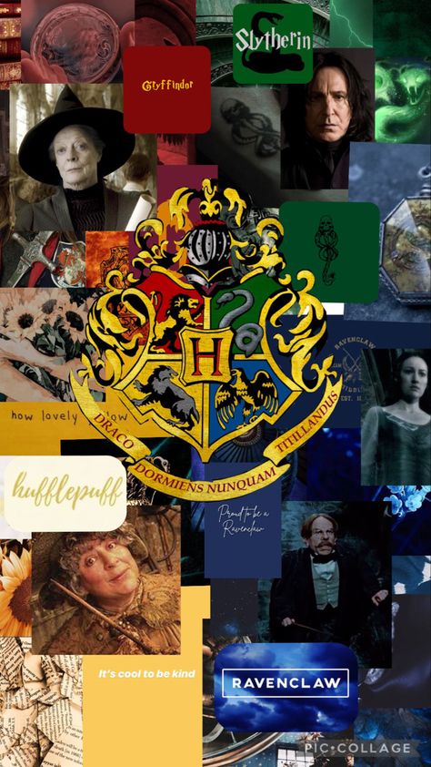 Hogwarts Houses Wallpaper, Hogwarts Houses Aesthetics, 4 Houses Of Hogwarts, Hogwarts Wallpaper, The Hogwarts Houses, Harry Potter Wallpaper Phone, Potter Wallpaper, Welcome To Hogwarts, Harry Potter Background