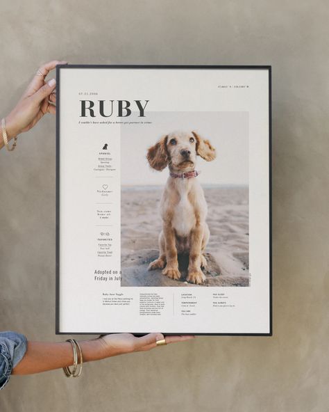 Create a meaningful custom photo print in minutes. Our signature giclée art prints are produced with premium, museum quality paper. Made and hand crafted in the USA. Dog Accessories, Adoption Stories, Dog Rooms, Dog Decor, Photo Print, Custom Photo, Animal Photography, Dog Mom, Puppy Love