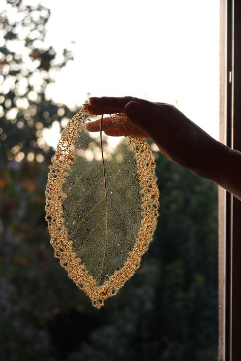 Nature, Skeleton Leaf Art Wall Decor, Leaf Skeleton Art, Skeleton Leaf Art, Agate Display, Textiles Ideas, Skeleton Leaf, Leaf Skeleton, Leaf Artwork