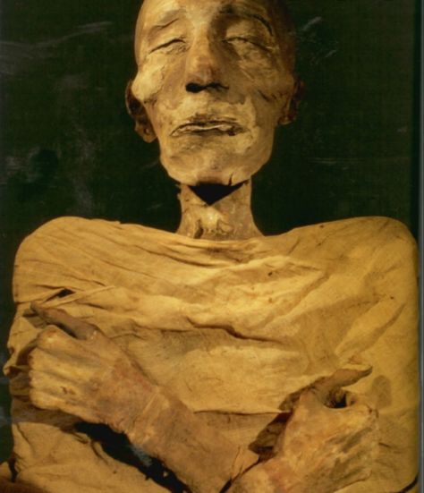 Egypt Mummy, Egypt Museum, Egyptian Mummies, Egypt Tours, Egyptian Pharaohs, Egypt History, Egyptian Mythology, Egyptian History, Ancient Egyptian Art