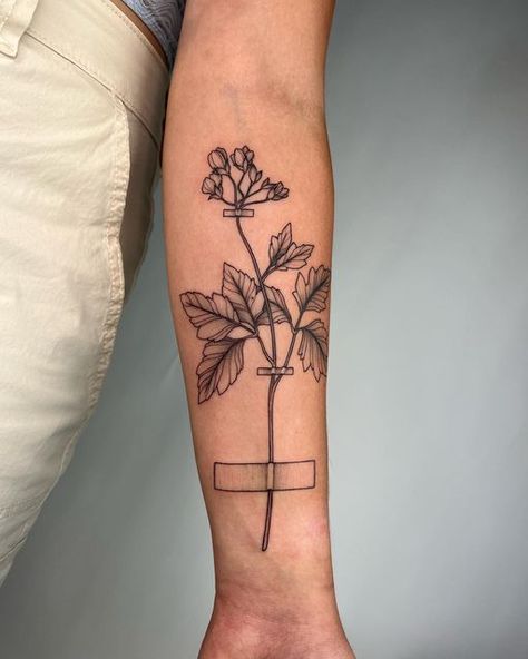 Emily Dickinson Inspired Tattoos, Herbarium Tattoo, Emily Dickinson Tattoo Ideas, Pressed Flower Tattoo, Emily Dickinson Tattoo, Dickinson Tattoo, Emily Dickson, Harris Dickinson, Favorite Tattoos