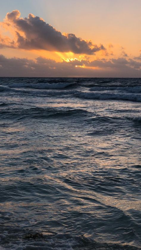 Mexico Sunrise, Sunrise Ocean, Ocean Video, Söt Katt, Beach Sunset Wallpaper, Beach Scenery, Amazing Nature Photography, Fotografi Alam Semula Jadi, Brand Strategist