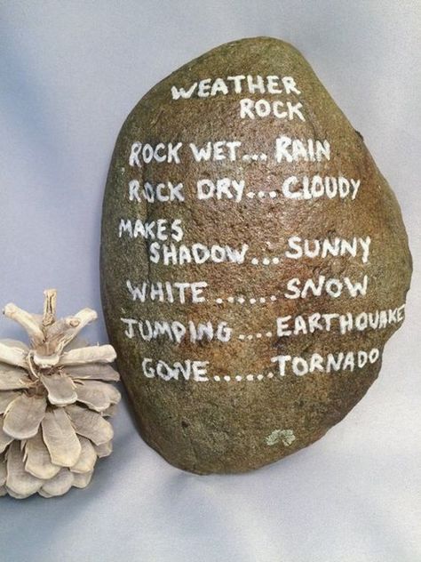 Gag Gift Ideas, Weather Rock, Funny Rock, Gift Ideas For Christmas, Gag Gifts Christmas, Funny Paintings, White Elephant Gift, Painted Rocks Diy, Ideas For Christmas