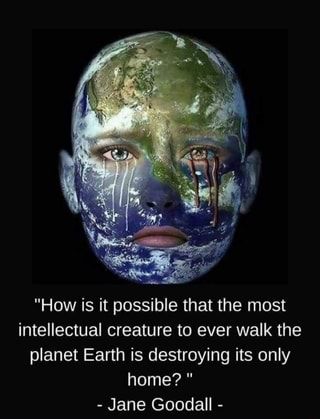 "How is it possible that the most intellectual creature to ever walk the planet Earth is destroying its only home? " - Jane Goodall - – popular memes on the site ifunny.co Save Planet Earth, Earth Quotes, Save Mother Earth, Save Our Earth, Jane Goodall, Environmental Awareness, Earth Art, Truth Of Life, Environmental Issues