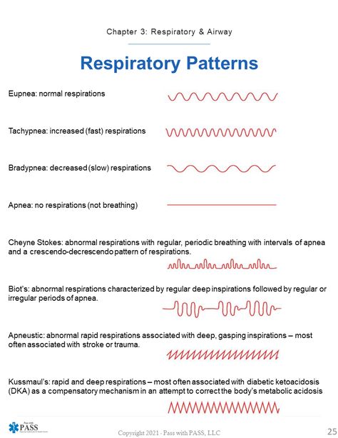 😨Taken from our EMT, AEMT & Paramedic NREMT Study Guides 📖 - this one pager gives you a quick glimpse of the different types of breathing patterns! ​​​🌐 www.passwithpass.com #emt #emtstudent #emtstudents #nremt #paramedicschool #medicstudents #medicstudent #paramediclife #paramedico #paramedical #emtschool #medicschool #medic #futureparamedic #passwithPASS #nremtp #nremtprep #futureEMT #ambulance #nremtexam #emtclass #emseducation Paramedic Study Cheat Sheets, National Registry Paramedic Study, Emt Study Medical Mnemonics, Paramedic School Tips, Ems Must Haves, Emt Medical Terminology, Paramedic Study Guide, Emt School Notes, Emt Tips And Tricks