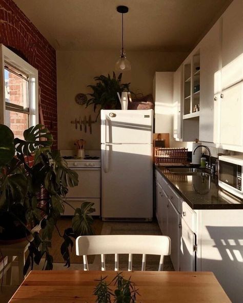 kitchen simple aesthetic neutral small homely home house apartment white plants single sun dream home Aesthetic Apartment, Interior Colors, Cheap Ideas, Appartement Design, Apartment Aesthetic, 아파트 인테리어, Hair Raising, Apartment Kitchen, Apartment Inspiration