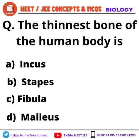 Are you preparing for the NEET 2021-22?. Let's solve these Biology questions and test your IQ. These Questions are Listed by the Experts and comment on the correct answer. Explore for more NEET Biology questions👇👇👇👇👇 To Join Our Courses Fill This Form: https://eklavyacentre.hubspotpagebuilder.com/neet-jee... . . . . . . . . . . #neetpreparation #neet2021 #neetcoaching #questionoftheday #questionschallenge #neetbiology #biology #bio #ekedu Neet Questions Biology, Neet Biology, Iq Test Questions, Test Your Iq, Test For Kids, Brain Test, Study Biology, Biology Facts, Test Quiz