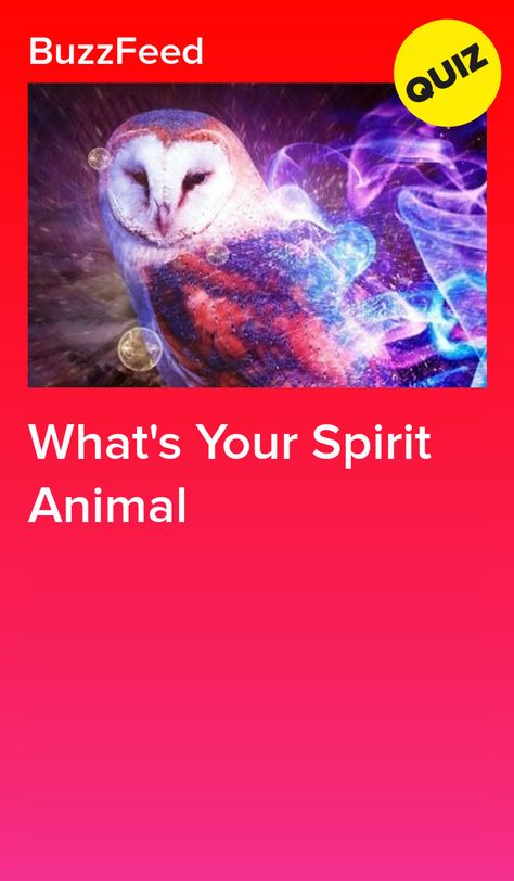 How To Find My Spirit Animal, How To Find Spirit Animal, Your Birth Month Your Spirit Animal, Ask Your Friends Which Animal You Are, Are You A Therian Quiz, Which Animal Are You Quiz, What Is My Spirit Animal Quiz, What Is Your Spirit Animal Quiz, How To Find Your Spirit Animal