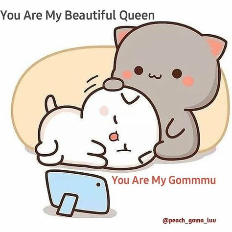 Nature, Kawaii, Peachu Gomu Love, Peachu Gomu, Gomu Peachu, Cat Couples, Diy Gifts For Girlfriend, Funny Sms, Milk & Mocha