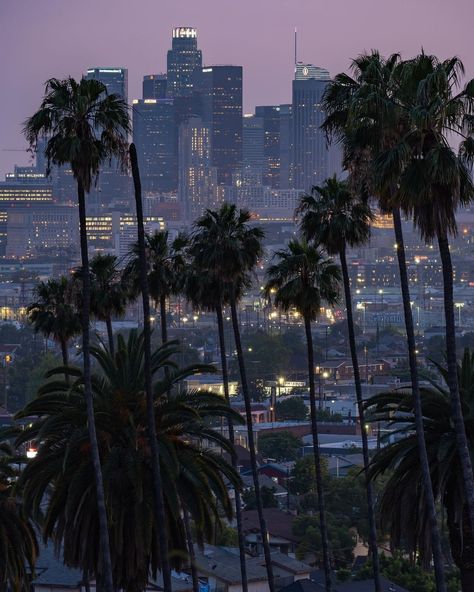 Secret Los Angeles on Instagram: “Concrete Jungle 🌴 🌃⁠ #myscretla⁠ ⁠ 📸: @goldn.state⁠ .⁠ .⁠ .⁠ #losangeles #cali #californiaadventure” Bonito, Los Angeles Wallpaper, La Aesthetic, Los Angeles Aesthetic, City Icon, Los Angeles Travel, Los Angles, City Of Angels, California Love