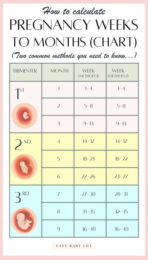 Finding how to calculate pregnancy weeks to months CONFUSING? Well, it is! Bookmark this super handy pregnancy weeks to months  chart with two common methods! The article also explains how to calculate the trimesters of pregnancy and due date. Perfect first pregnancy info for new moms!  (Also for mamas interested in pregnancy tips, pregnancy advice, pregnancy week by week, pregnancy stages, early pregnancy, pregnancy months, getting pregnant, pregnancy guide.) Pregnancy Weeks To Months, Weeks To Months Pregnant, Trimester Chart, Pregnancy Weeks, Conception Date, Week By Week Pregnancy, Pregnancy Chart, Pregnancy Due Date, Baby Weeks