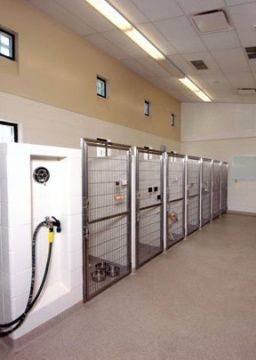 Kennels Animal Hospital Design, Dog Daycare Design, Dog House Heater, Kennel Business, Dog Breeding Kennels, Veterinary Design, Dog Daycare Business, Outdoor Dog Kennel, Dog Boarding Facility