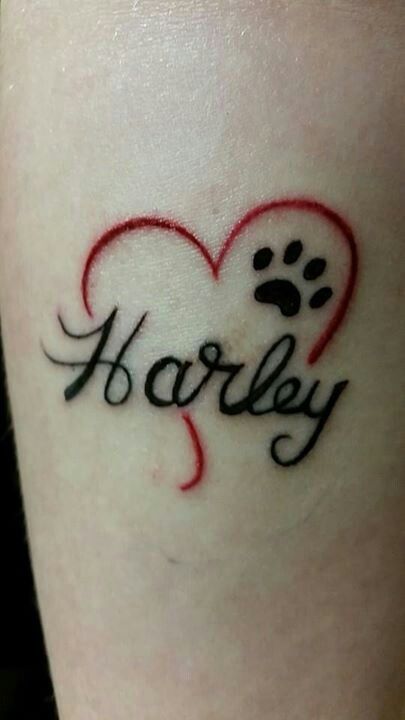 Tattoo                                                                                                                                                                                 More Grandpa Tattoo, Tatoo Dog, Pet Memorial Tattoo, Dog Memorial Tattoos, Pawprint Tattoo, Dog Paw Tattoo, Tattoo Dog, Petit Tattoo, Paw Tattoo