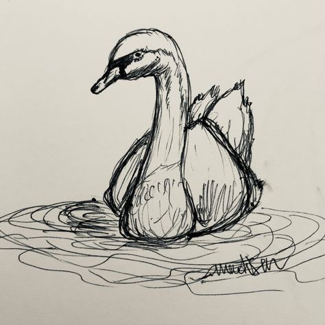 Croquis, Swan In A Lake Drawing, Swan Ink Drawing, Swan Cute Drawing, Swan Drawing Reference, Cute Swan Drawing, Swan Drawing Aesthetic, Easy Swan Drawing, Swan Aesthetic Drawing